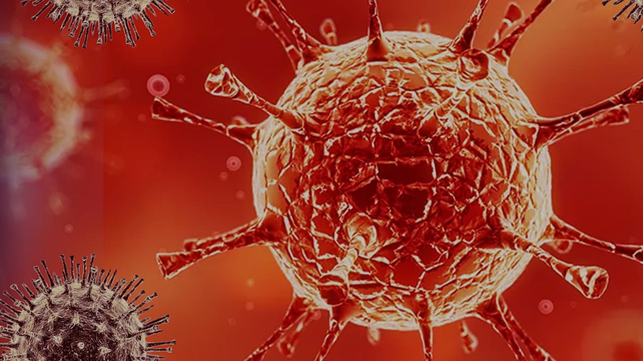 Diez datos aterradores sobre la segunda ola de coronavirus