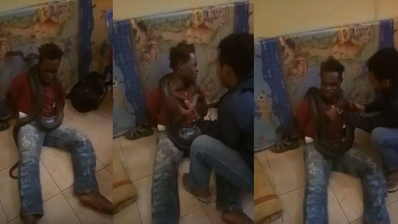 Policías usaron al animal para interrogar a un hombre que estaba bajo sospecha de robo.