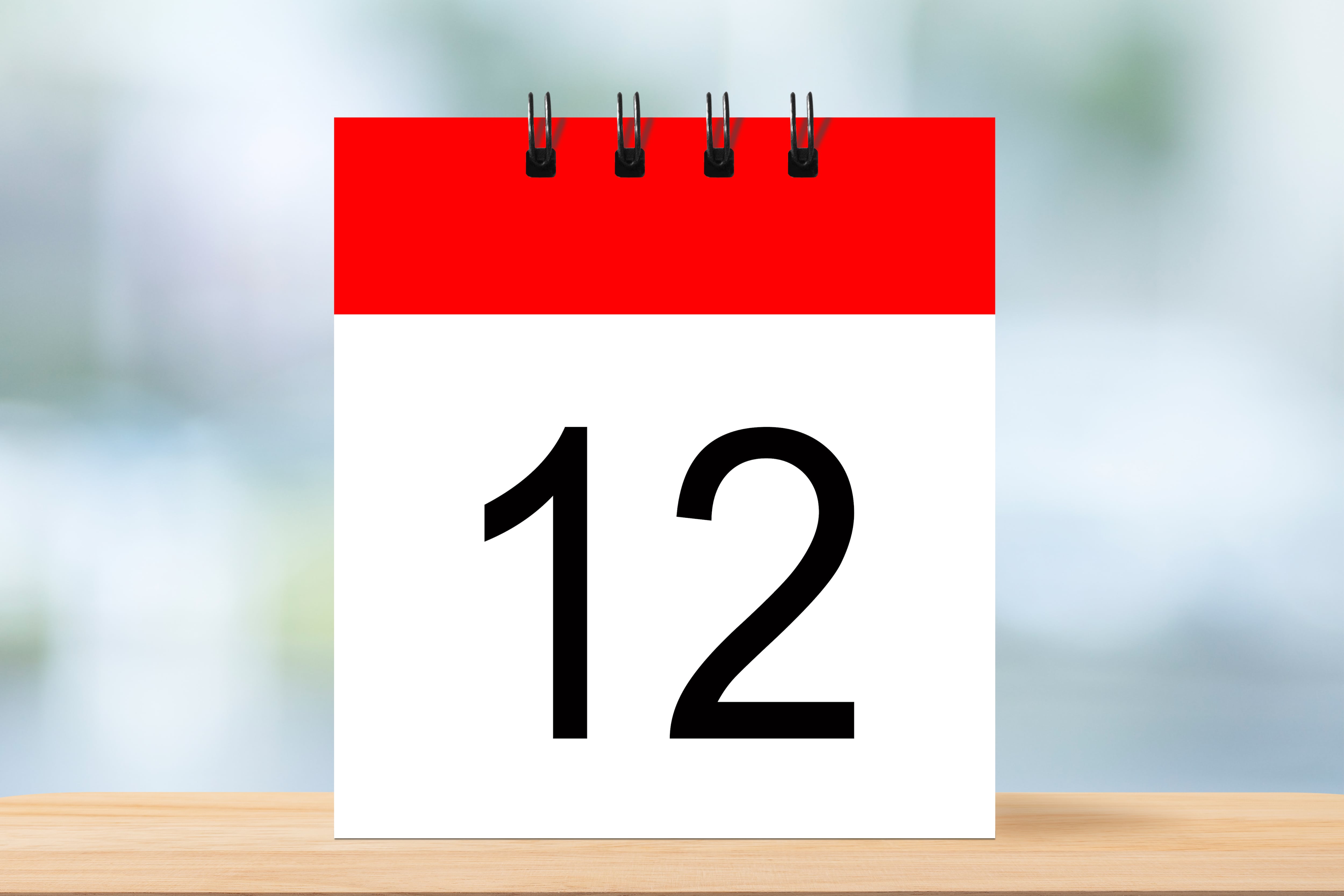 Portal del 12 de diciembre.