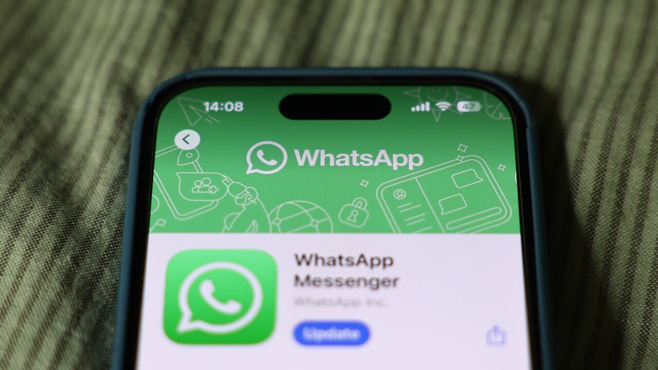 Los canales de WhatsApp están diseñados para brindar información en tiempo real.