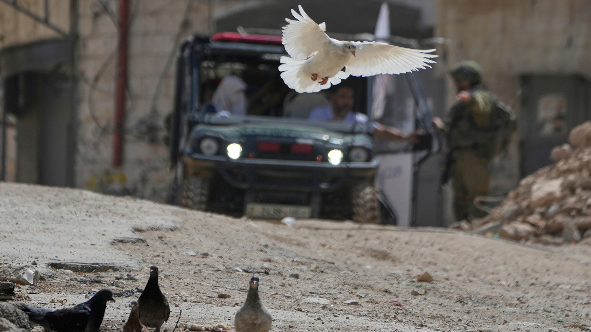 Fotos de la semana 30 mayo