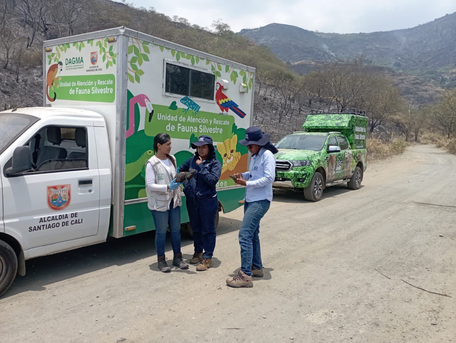 Funcionarios del Dagma evaluando el impacto ambiental tras incendio forestal en Cali