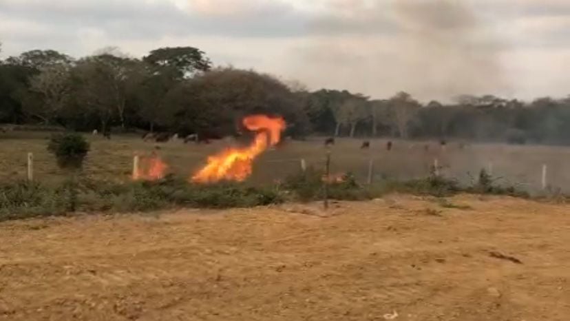 Invasores estarían realizando prácticas de quema.