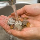 Los amantes de la limpieza y la higiene están recurriendo a un truco práctico para mantener su dinero en efectivo en condiciones óptimas: el bicarbonato de sodio.