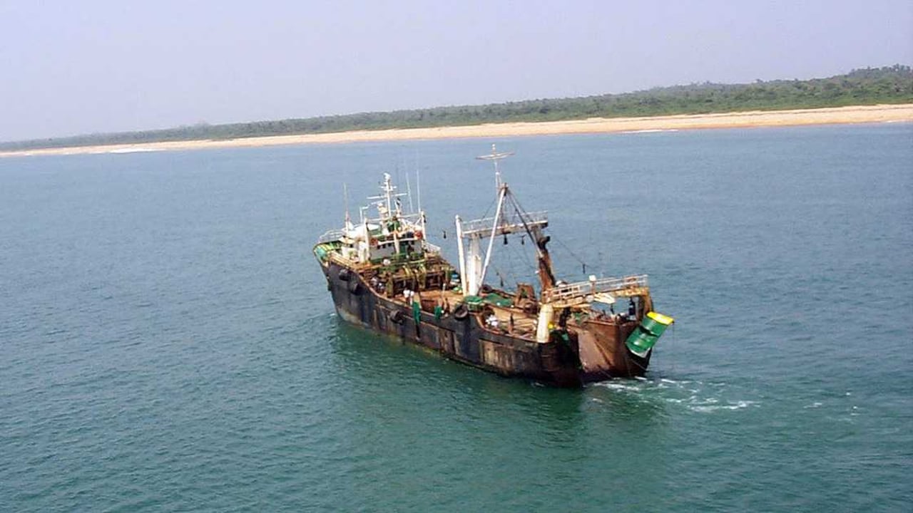 La sobrepesca es una de las problemáticas a las que hoy se enfrentan los océanos. Foto: Fundación MarViva