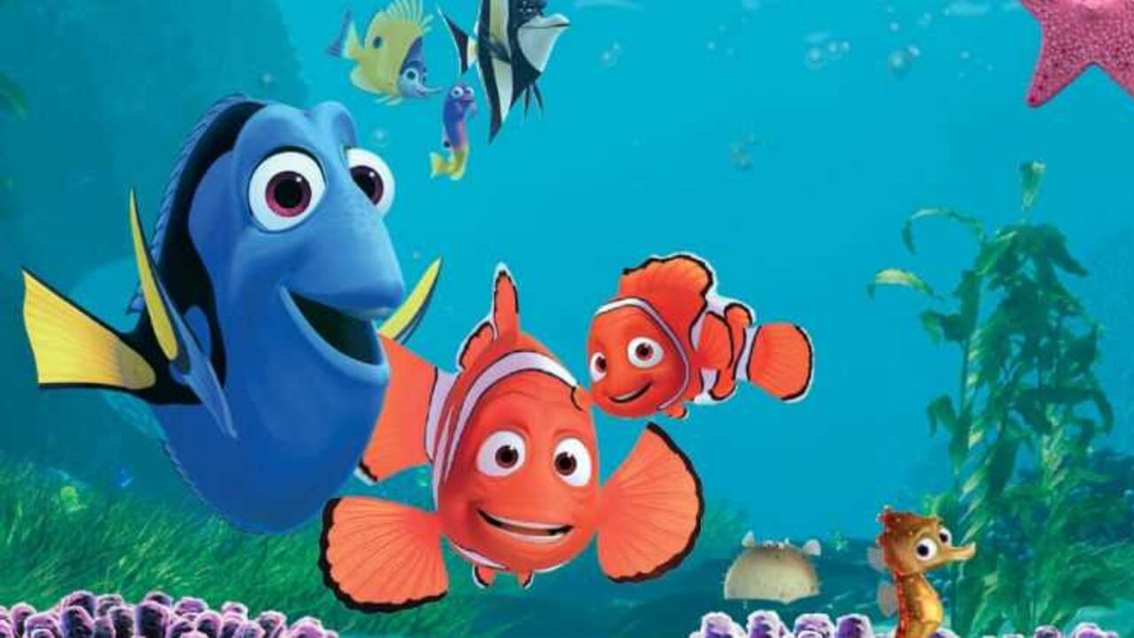 Ya se vendieron más de un millón de peces payaso capturados en los arrecifes tropicales gracias a la película 'Buscando a Dory'