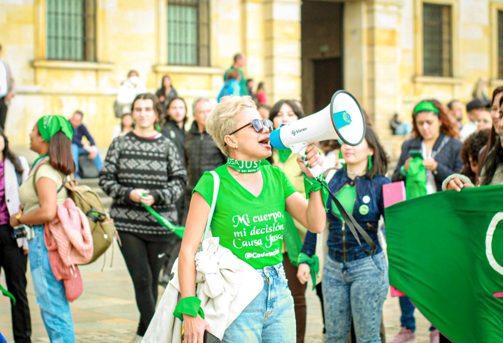 Marcha por los seis meses de la sentencia c-055