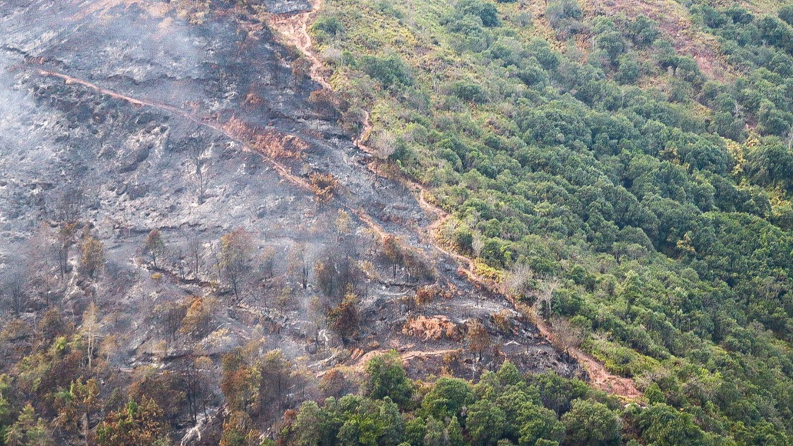 Los estragos que dejan incendios en el departamento de Santander.
