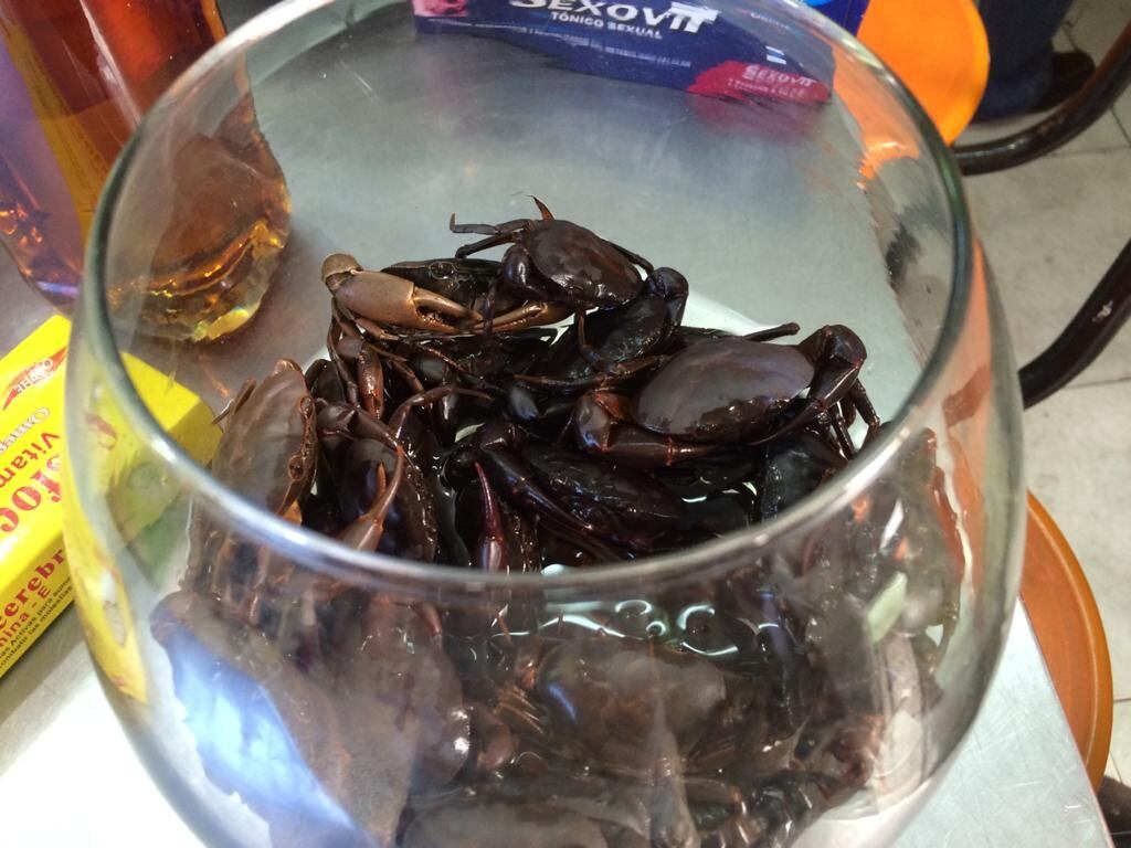 Cangrejos de agua dulce