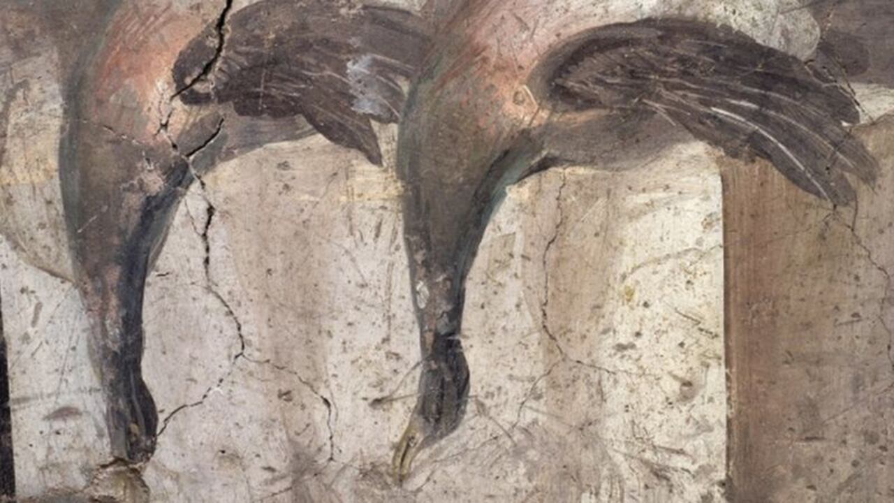 El análisis del termopolio podrá brindar detalles sobre la dieta y las costumbres de la época.