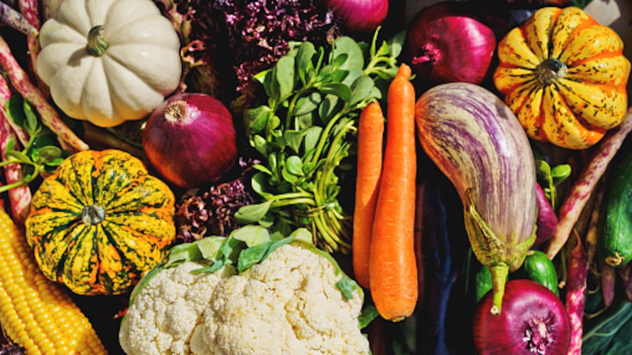 Las verduras son aliemntos compuestos de minerales y fibras.