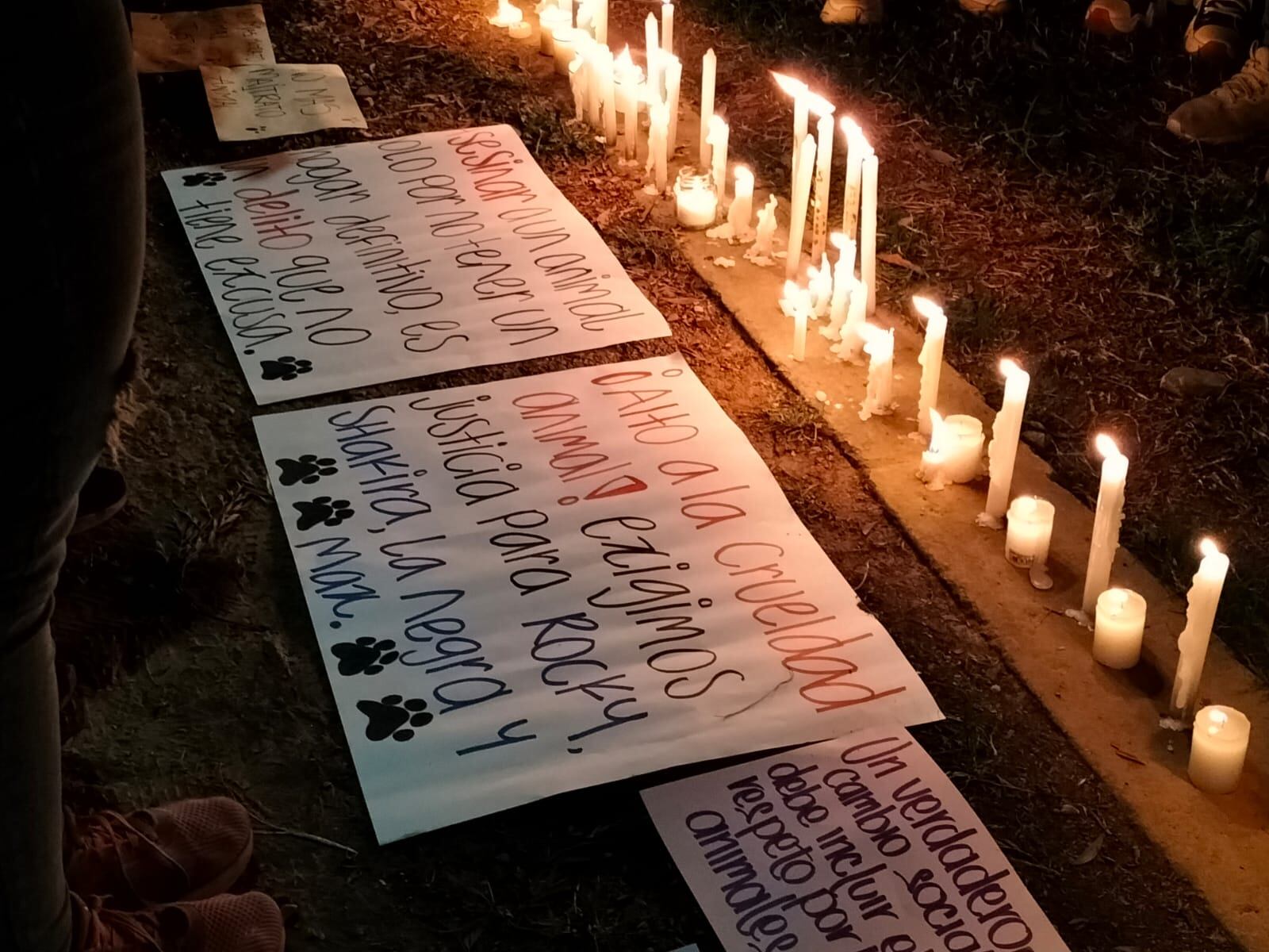 Habitantes de Madrid, Cundinamarca, están indignados por la muerte de cuatro perros. Se realizó una velatón.