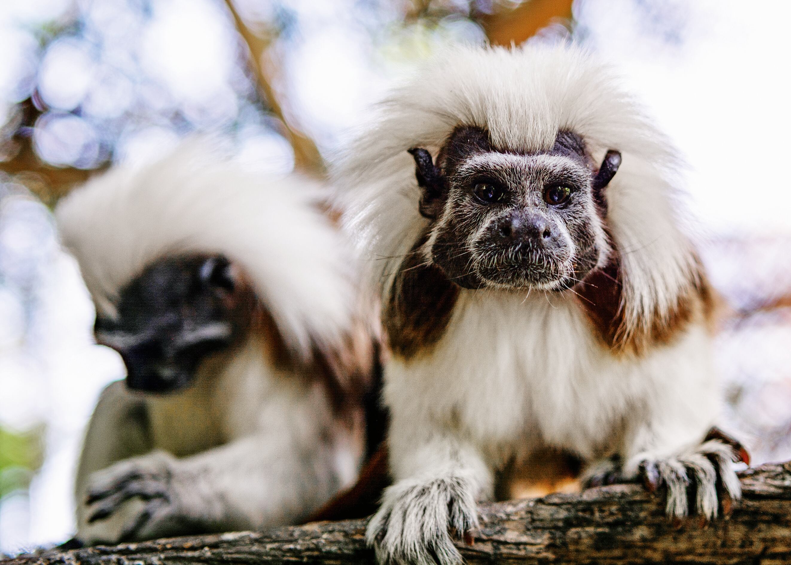 jardín Botánico de Cartagena - Mejor Colombia