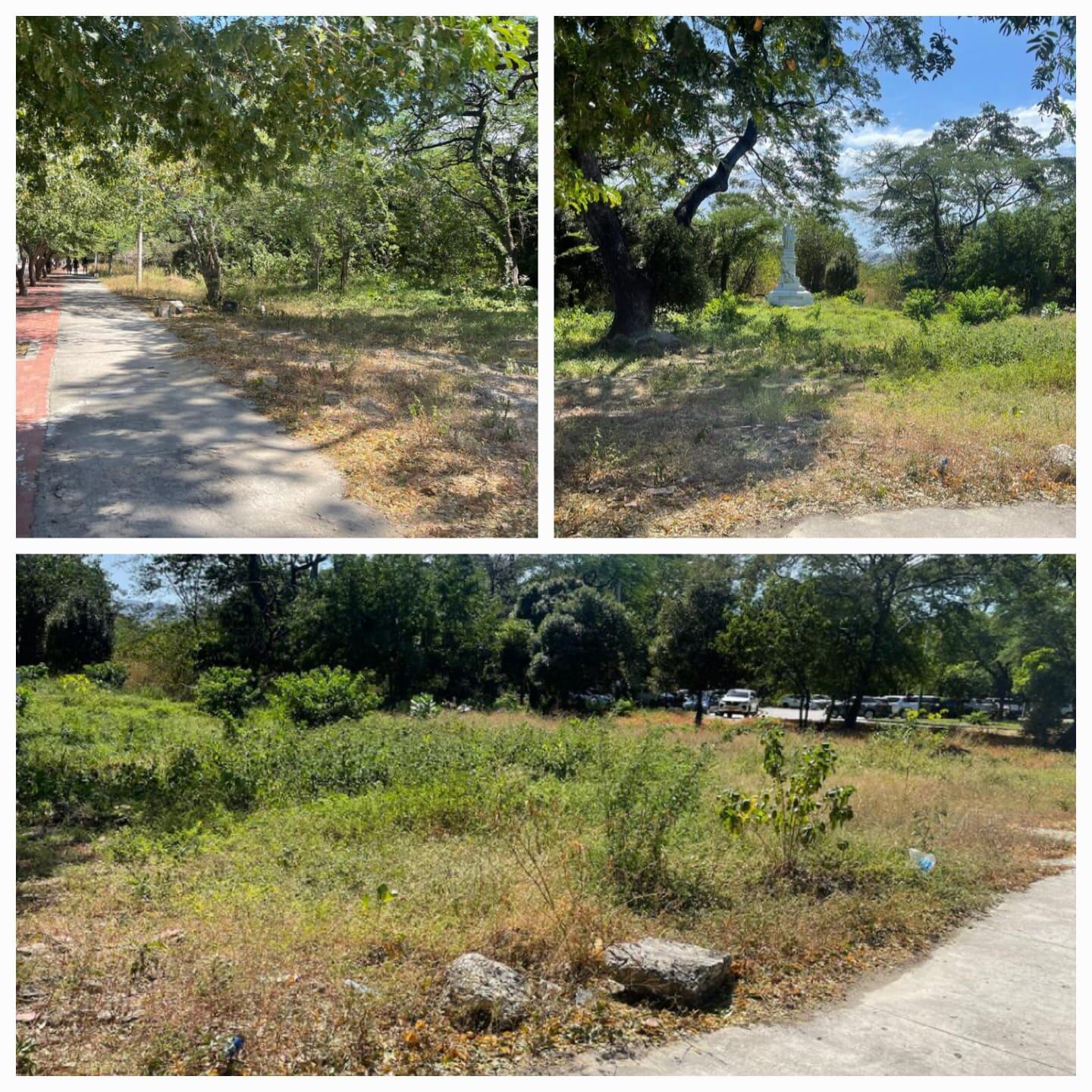 Los guías son voluntarios