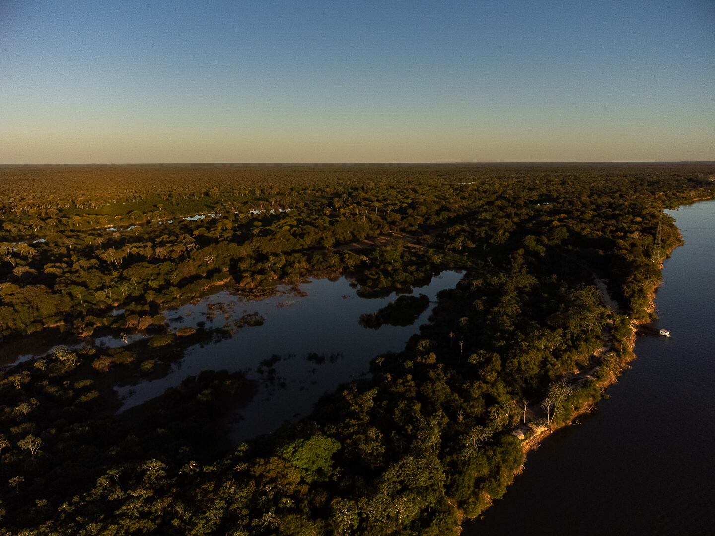 Biofix se ha destacado por por su trabajo con más de 25 comunidades étnicas custodias de los bosques en Colombia y
Brasil.