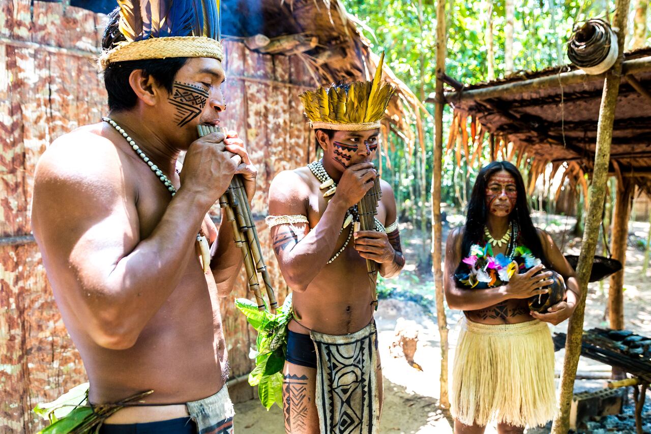 Algunas tribus indígenas no han tenido contacto alguno con la humanidad.