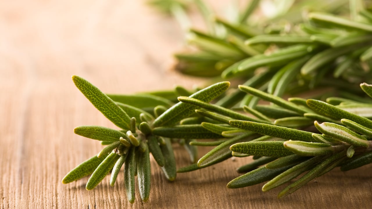 La tradición de poner romero en el calzado tiene profundas raíces históricas y culturales en diversas partes del mundo.