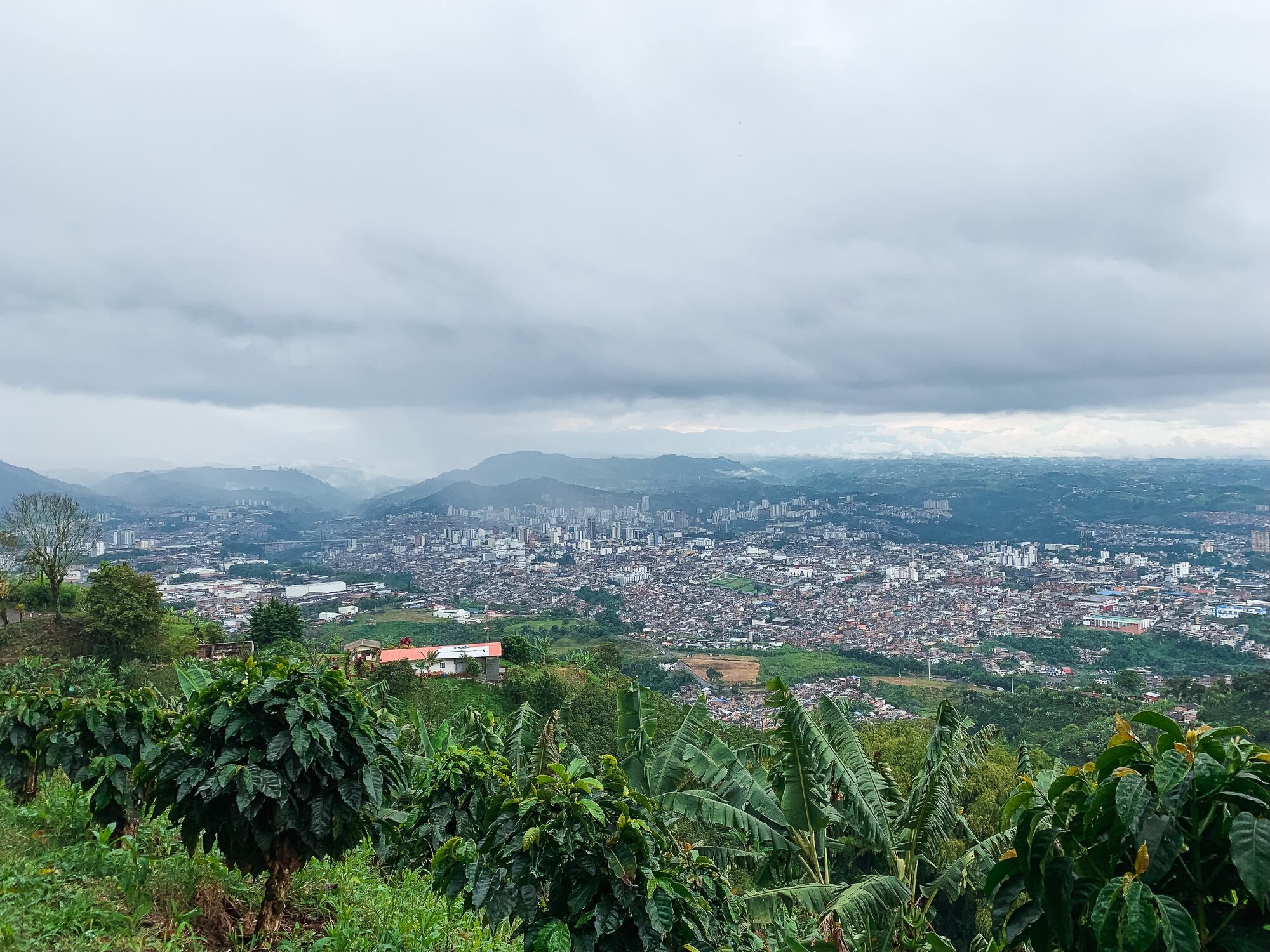 Panorámica de Pereira