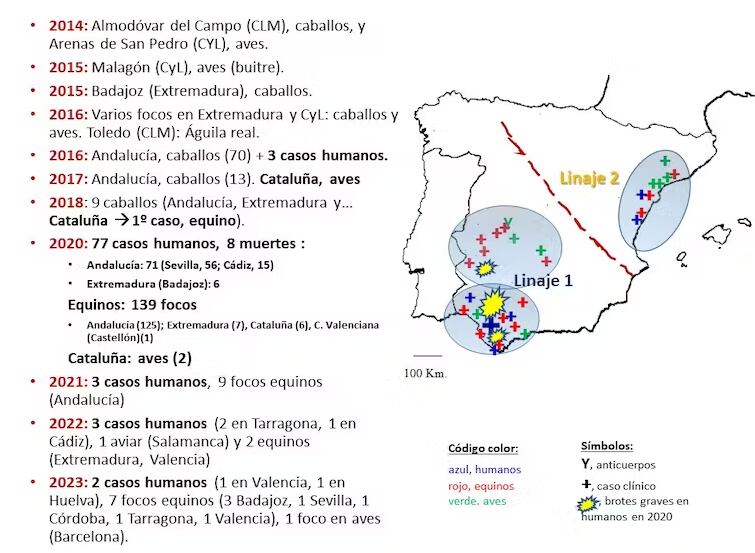 Situación de la fiebre/encefalitis por virus del Nilo Occidental en España, con énfasis en los hitos más importantes ocurridos desde 2014. La enfermedad se está expandiendo por tres grandes áreas: 1) Andalucía Occidental, 2) Extremadura-Castilla-La Mancha y sur de Castilla-León, y 3) Catalunya-Comunitat Valenciana. Los autores, CC BY