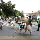 El operativo culminó en el hallazgo de Luna junto a otra llama, en condiciones precarias.