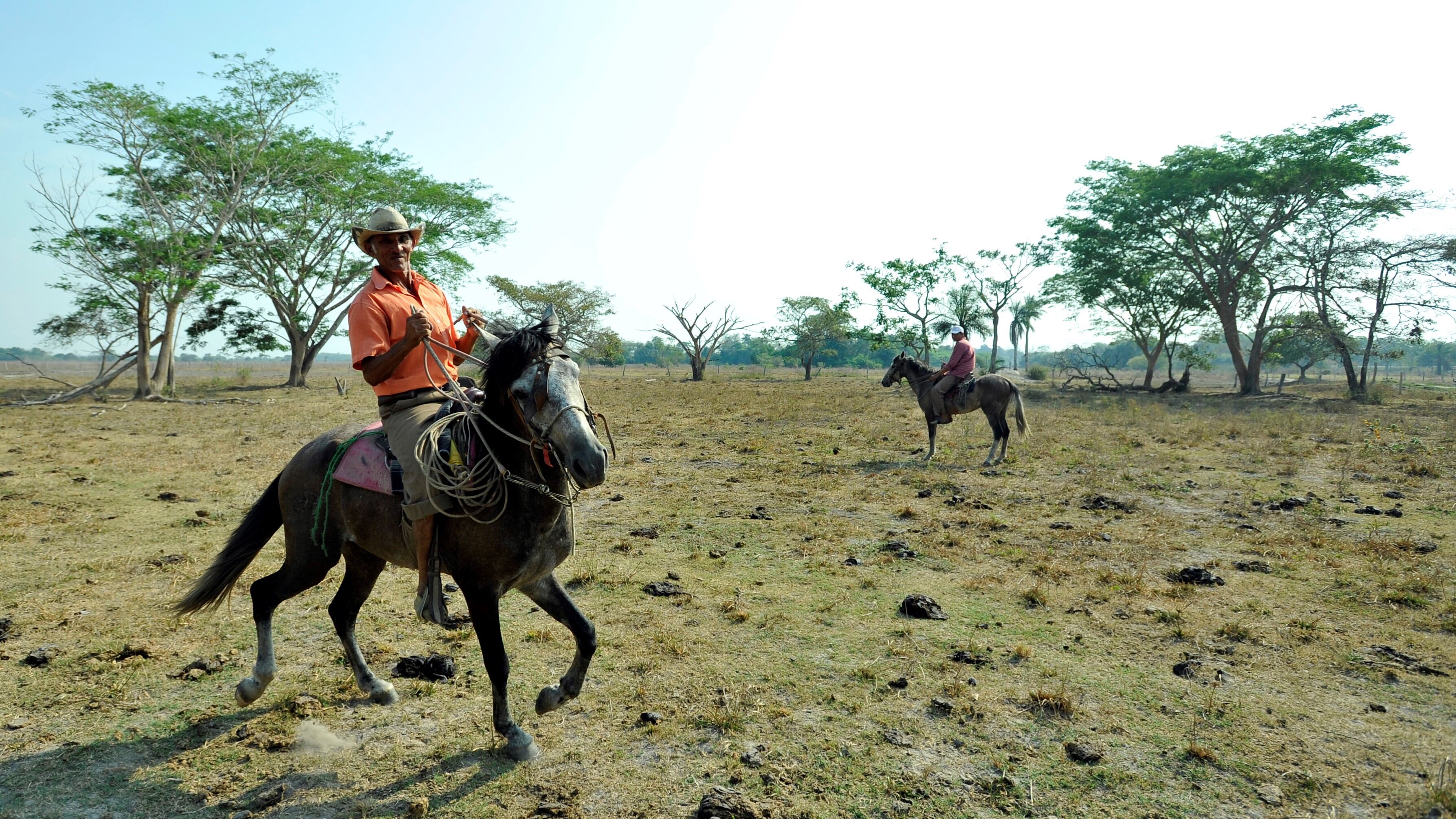 Habitantes de zona rural de Arauca