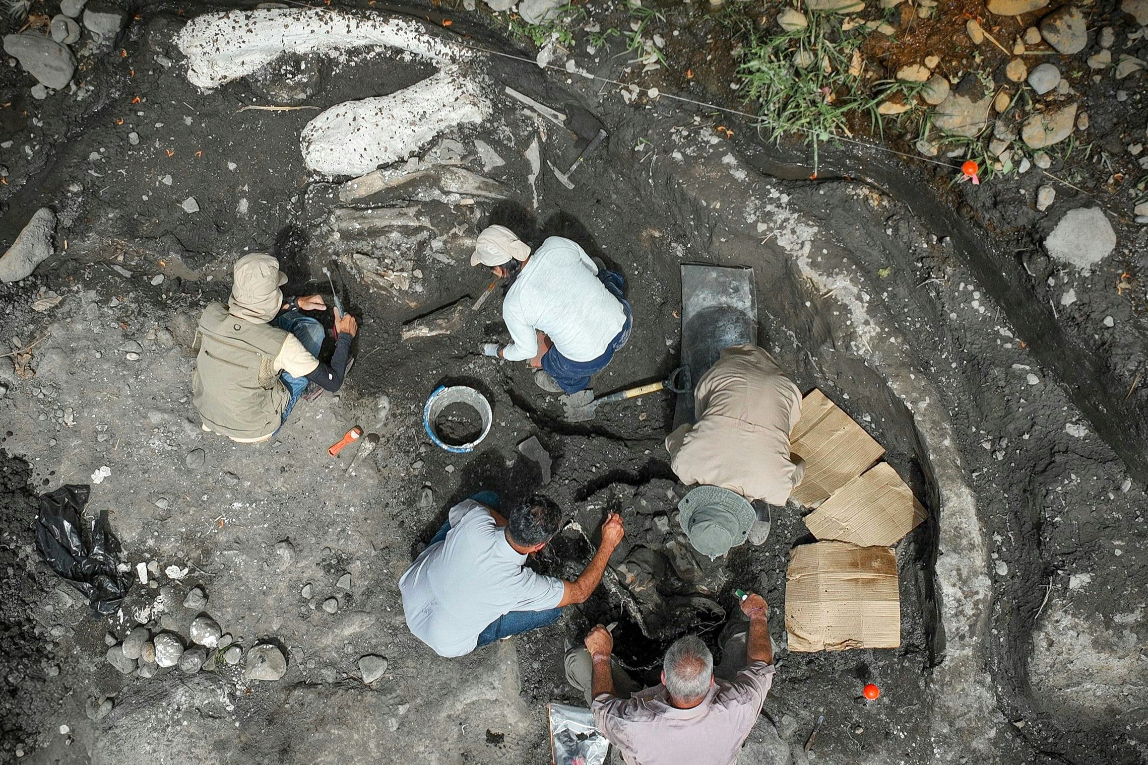 El Museo Nacional calificó el descubrimiento como uno de los más relevantes en décadas.