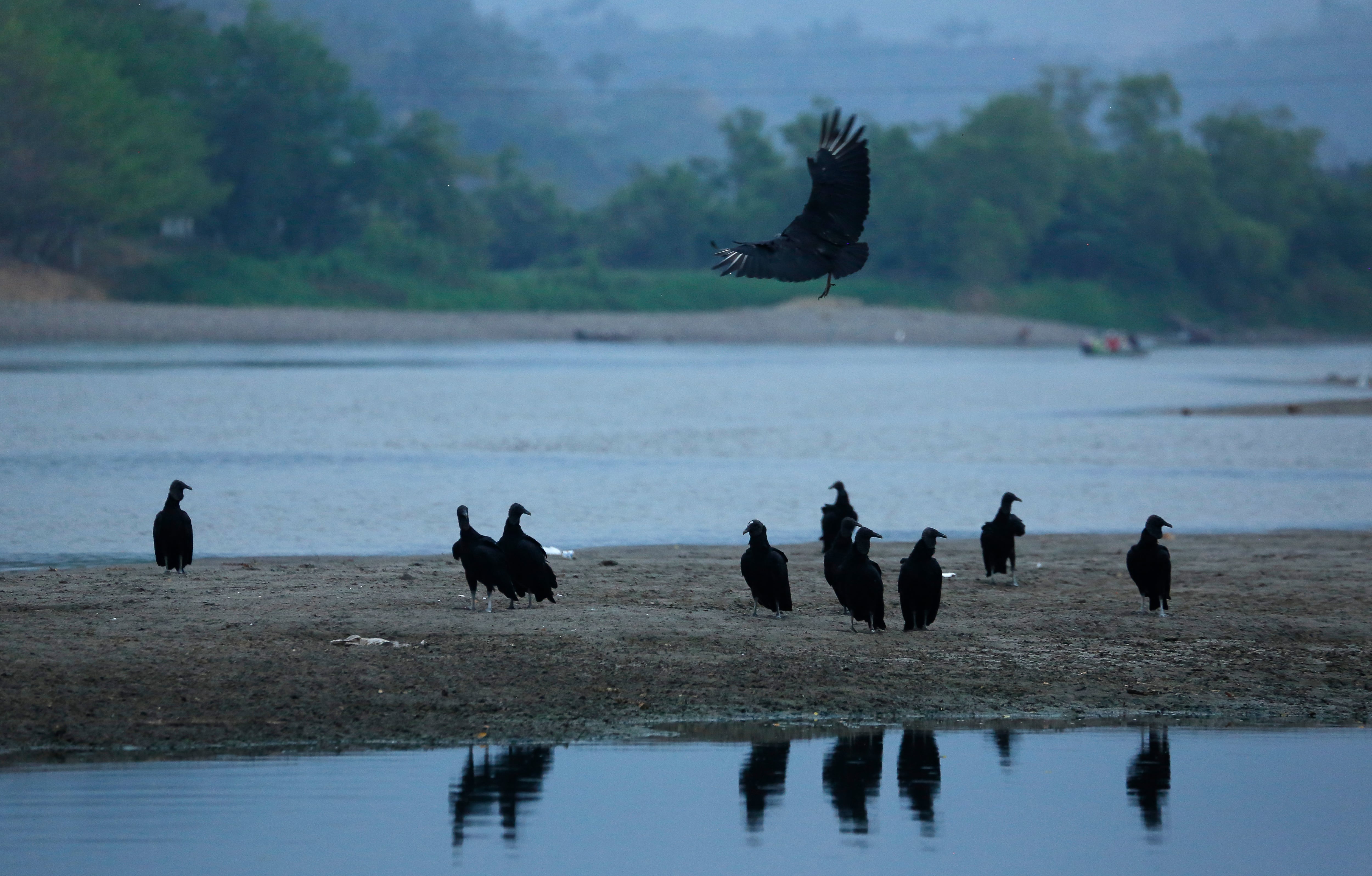 Especial Servicios Públicos - Mejor Colombia