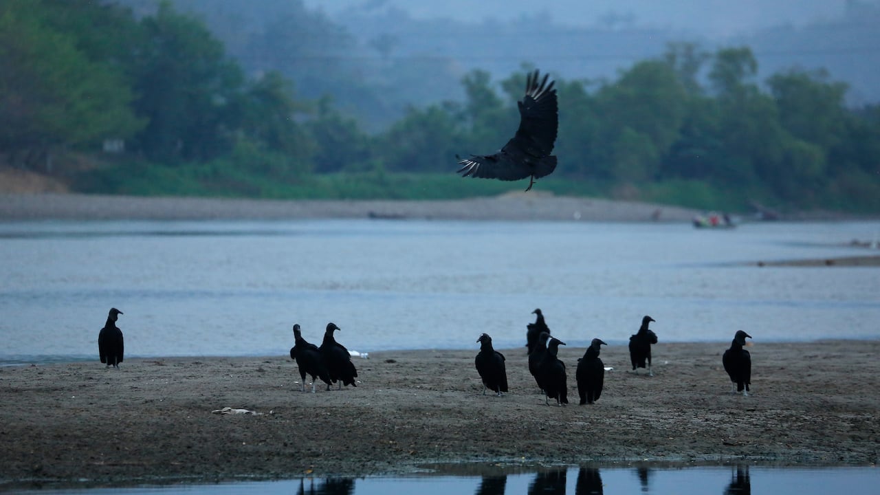 Especial Servicios Públicos - Mejor Colombia