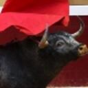 La tradición de los toros se da en el sur de Francia.