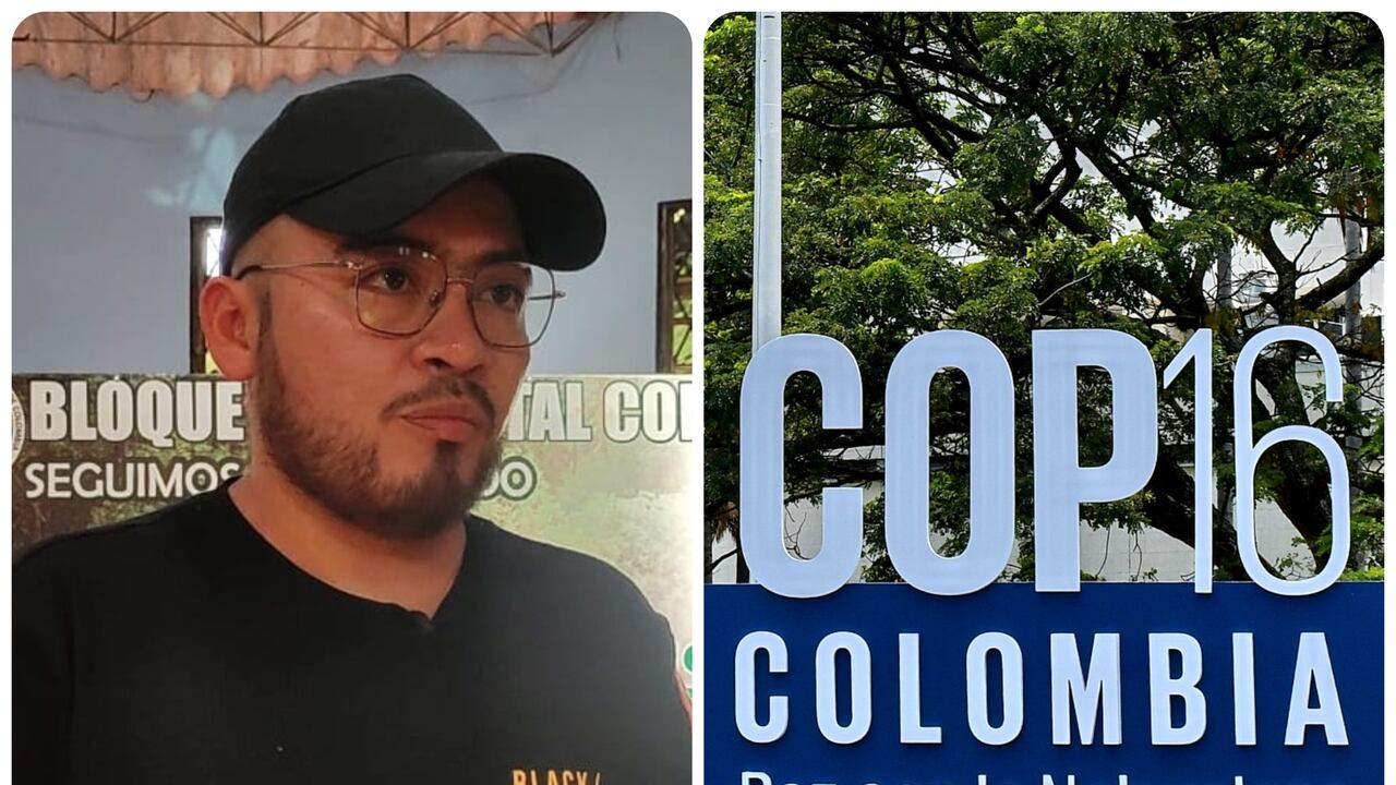 Sebastián Martínez, comandante de las disidencias de las Farc de Iván Mordisco habló sobre la COP16.