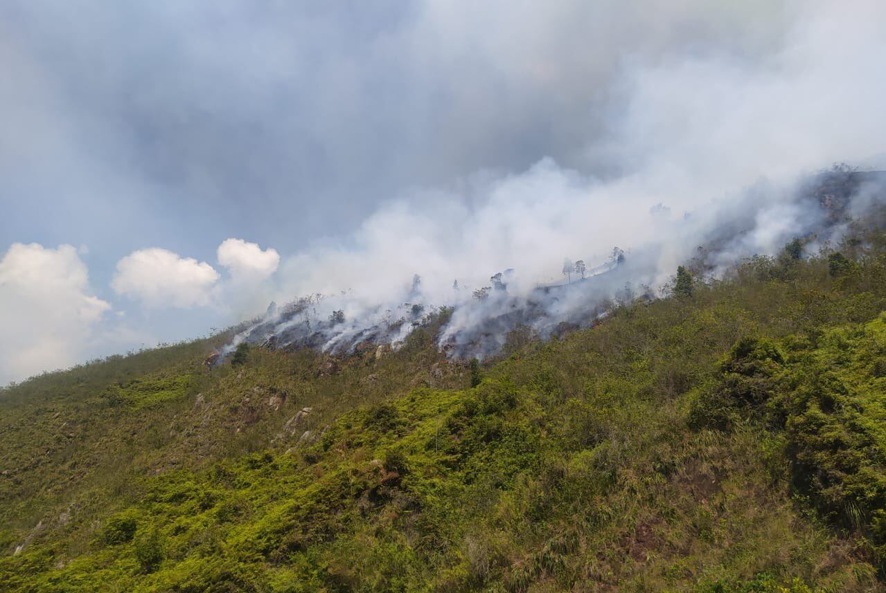 Incendio en la vereda Hoya Negra del municipio de Hato.