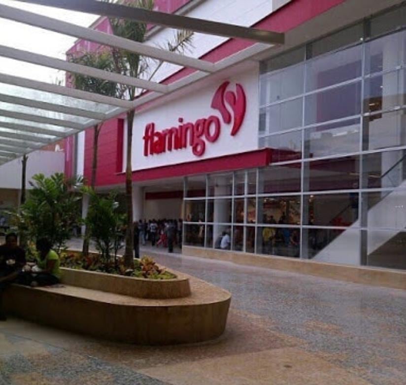 Almacenes Flamingo por supuestos cobros de intereses indebidos a sus clientes.

Foto tomada del Instagram del almacén