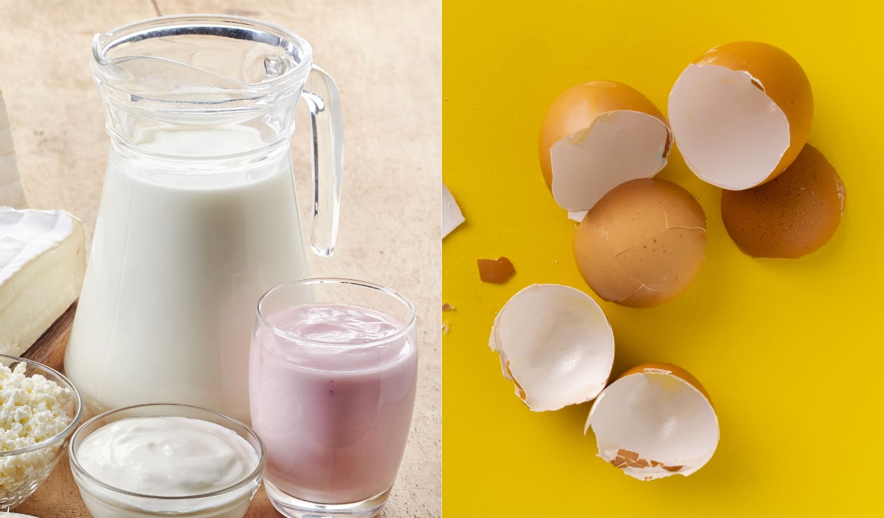Huevo, yogurt, yogur, cáscara de huevo