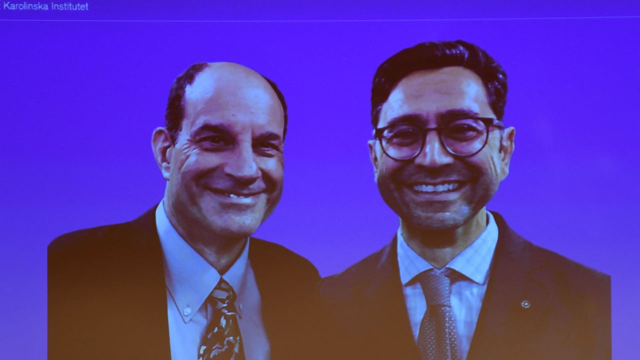 David Julius y Ardem Patapoutian