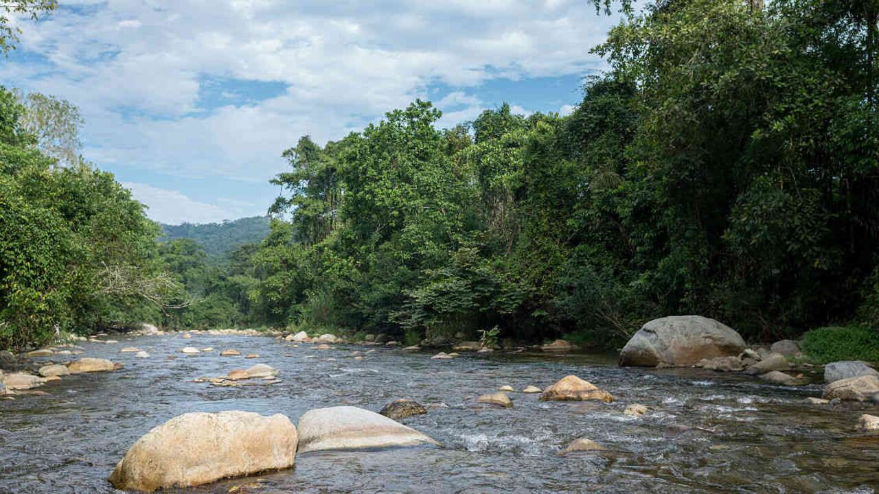 El potencial hídrico del bosque seco tropical pone en peligro su conservación. Es atractivo para grandes proyectos hidroeléctricos. Foto: Felipe Villegas/Instituto Humboldt