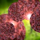 Enfermedad infecciosa Células del virus del papiloma humano Ilustración conceptual 3D