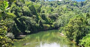 Parque Nacional Natural Farallones de Cali