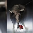 Corridas de toros - Imagen de referencia