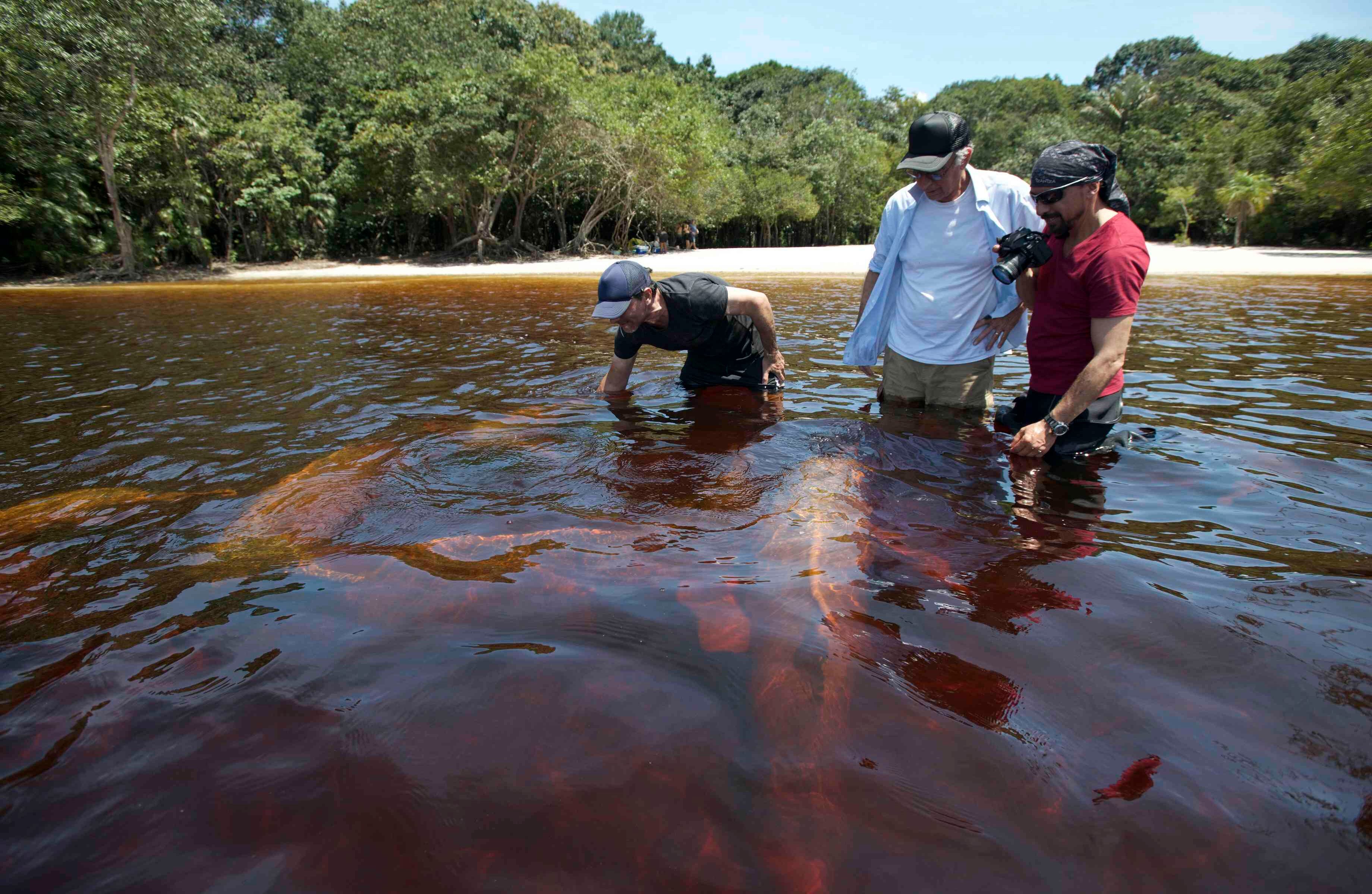  “Los otros animales de ese ecosistema no se acercan, si algo atacan, son agresivos, pero los delfines son muy curiosos, algo que es una señal de un nivel más grande de inteligencia. Tristemente, por eso es muy fácil que los maten. Se nos acercaban y se quedaron con nosotros las ocho horas de grabación”.