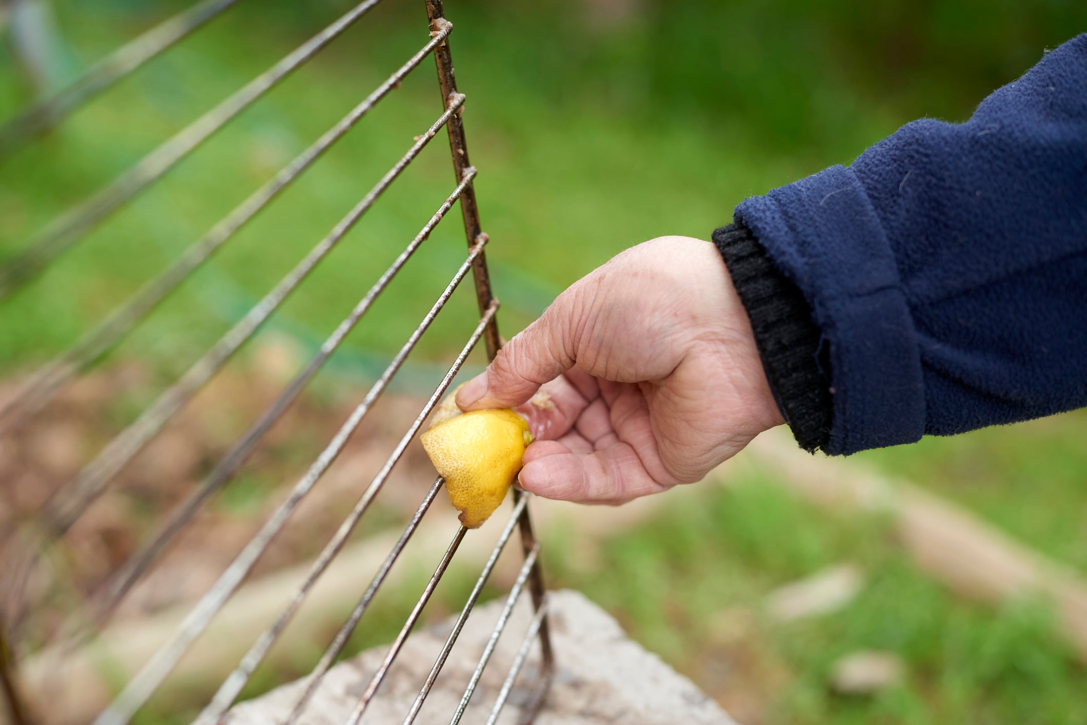Crop person cleaning grill with a piece ol lemon