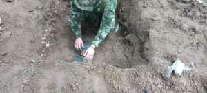 Soldados han desactivado 640 minas antipersonales y artefactos explosivos en Casanare, Arauca, Vichada y Guainía.