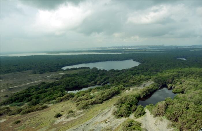 Salamanca es parte del complejo lagunar de la Ciénaga Grande de Santa Marta, uno de los espejos de agua más grandes de la tierra con 4.280 kilómetros cuadrados, de los cuales 730 kilómetros son de pura agua.