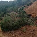 Y es que el departamento de Antioquia ha sido uno de los más afectados por las lluvias en el país. Esto ha causado desplome de importantes vías, viviendas, inundaciones, entre otras tragedias, donde ya van 59 fallecidos.