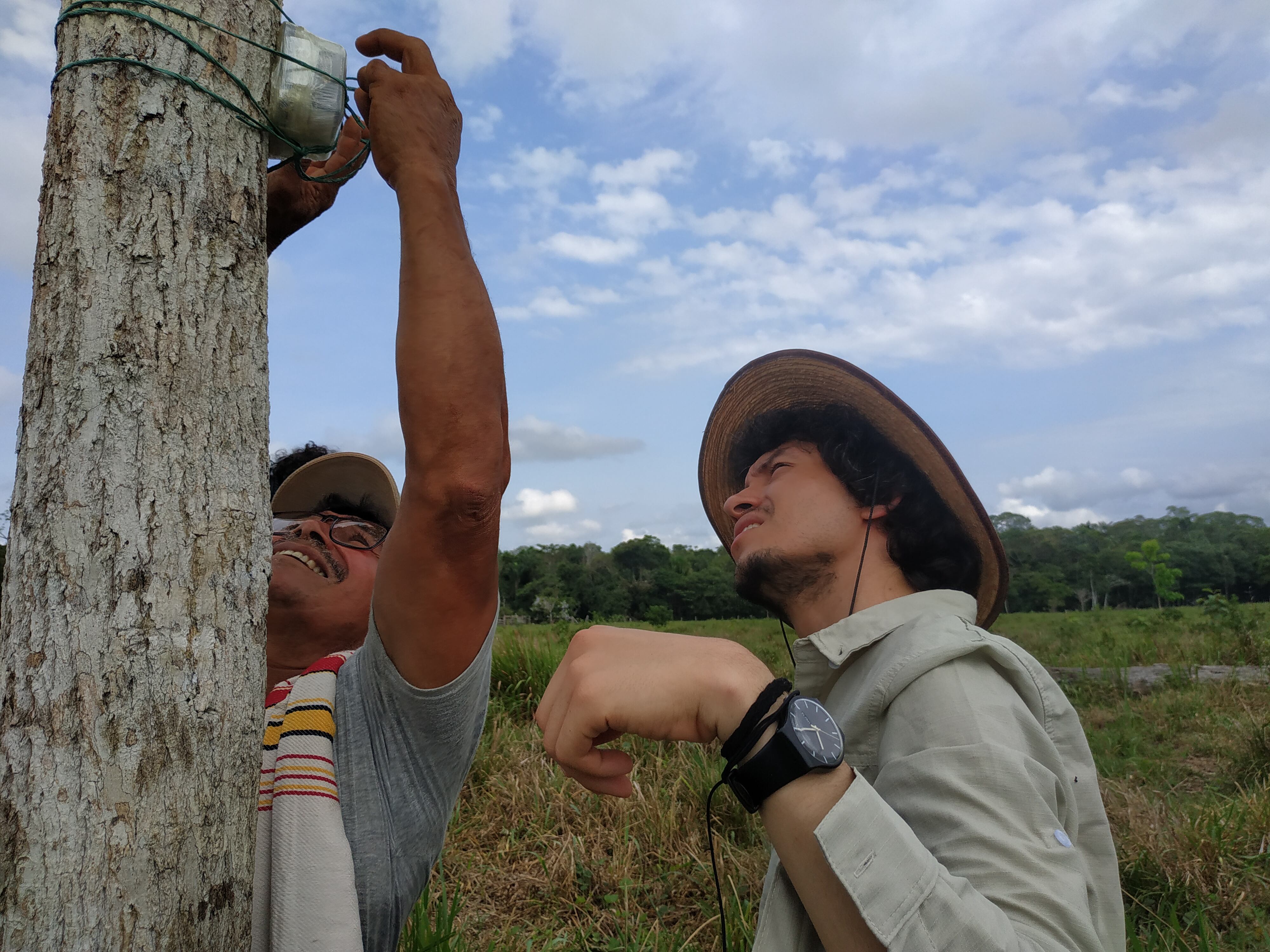 42 cámaras trampa y 40 sensores acústicos se encargarán de monitorear la riqueza biológica de las zonas del Caquetá y Guaviare