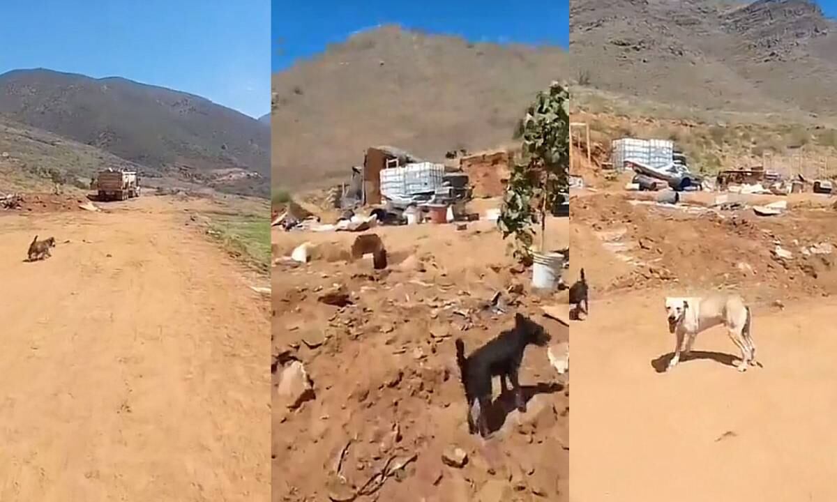 Los hechos se presentaron en Baja California