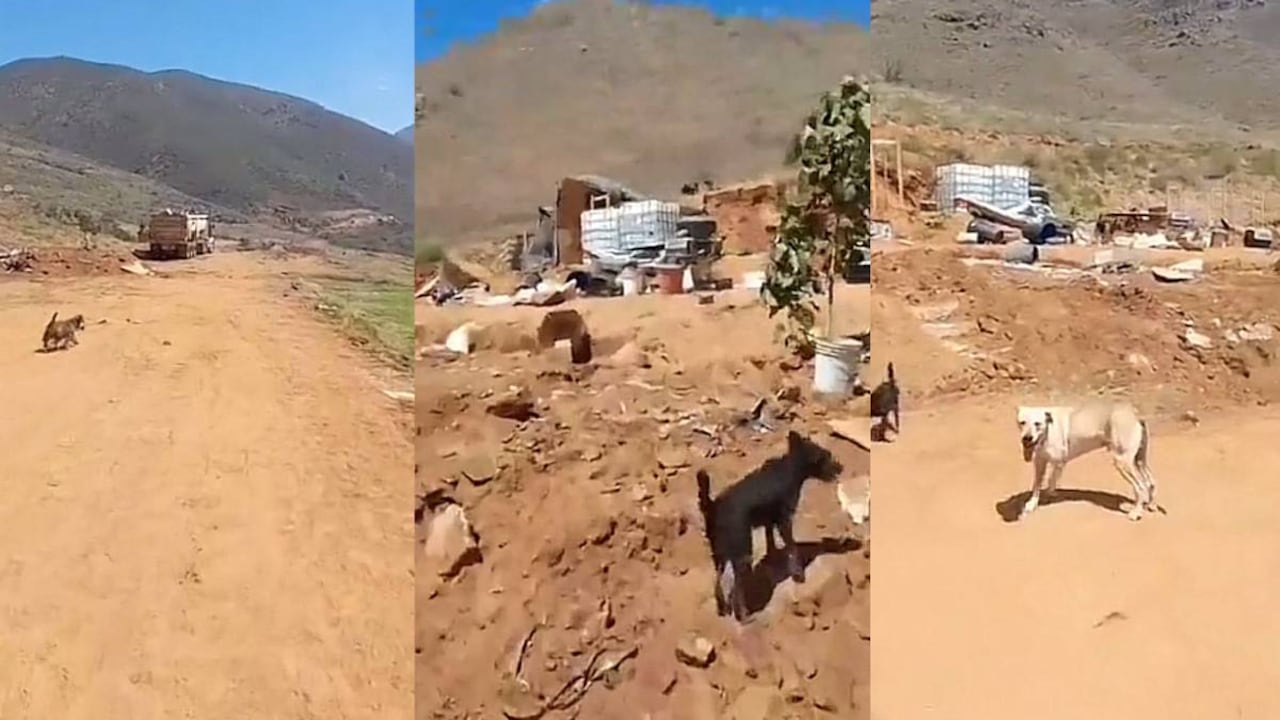 Los hechos se presentaron en Baja California