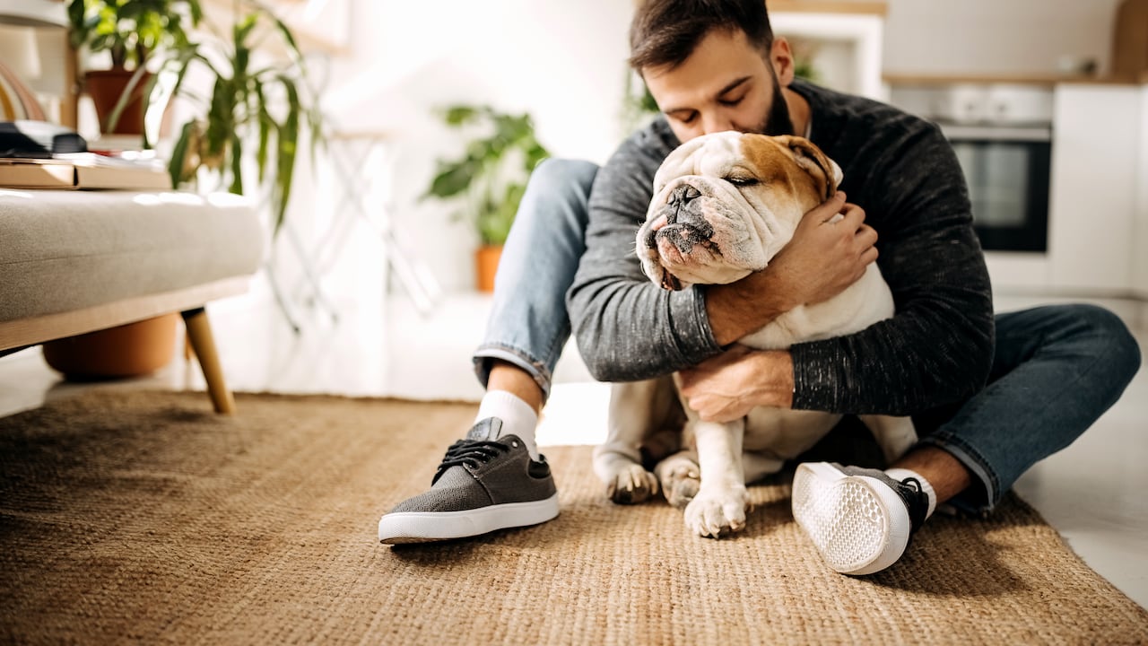 Los perros son conocidos por ser animales extremadamente leales y afectuosos.