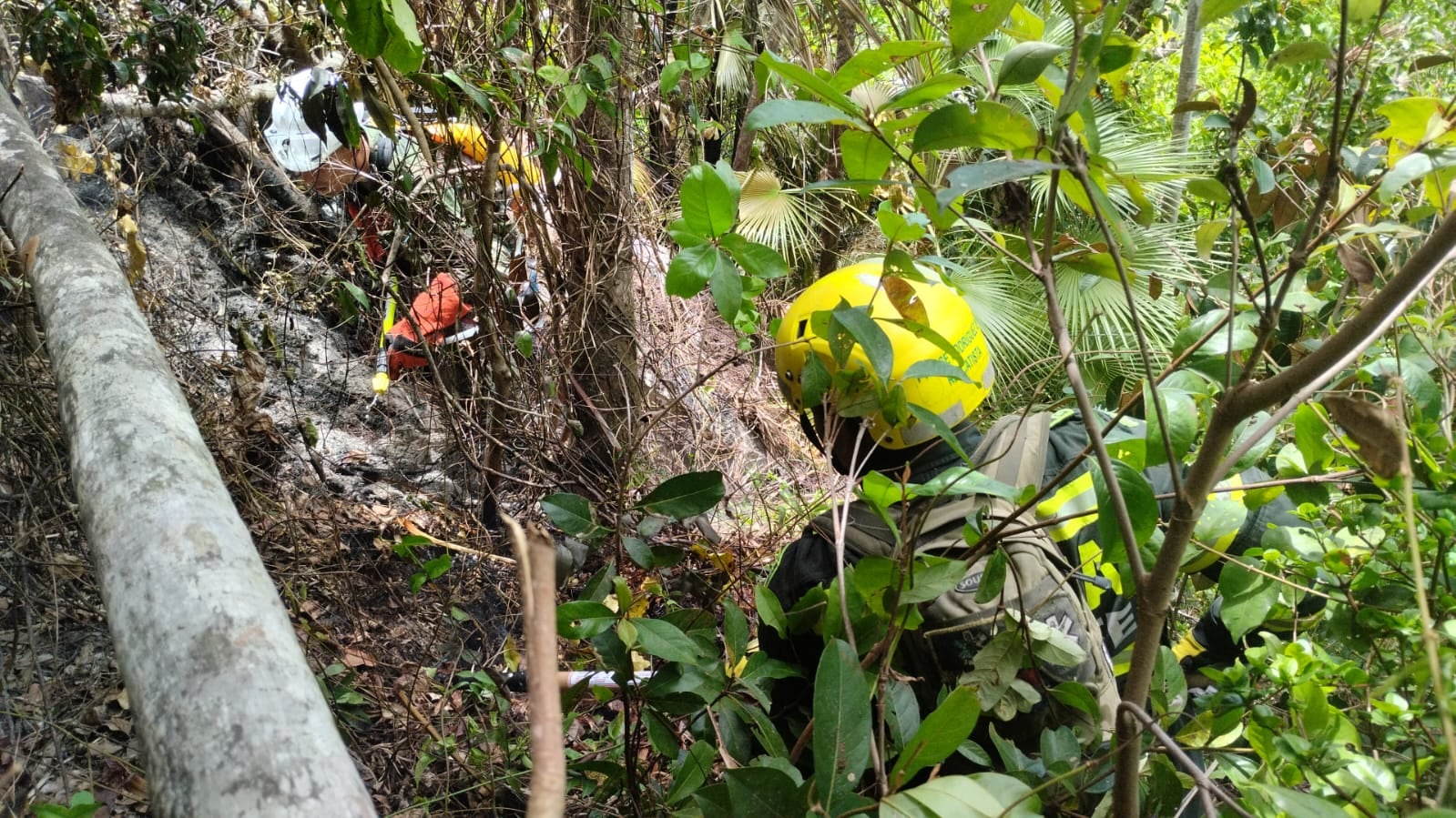 En la zona de difícil acceso trabajan los organismos de socorro