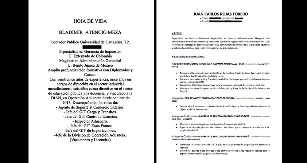 Hoja de vida de Bladimir Meza.