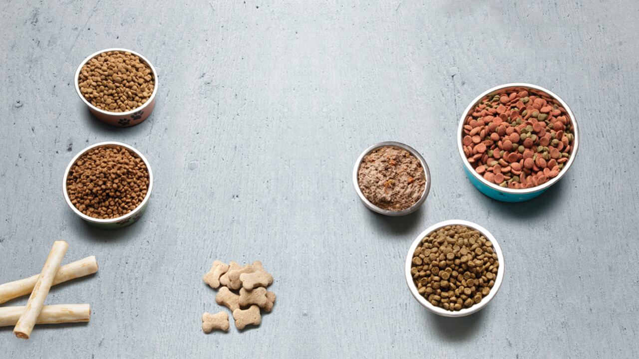 Brindar una adecuada alimentación a tu mascota garantiza su sano crecimiento.